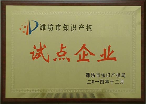 濰坊市知識(shí)產(chǎn)權(quán)試點(diǎn)企業(yè)